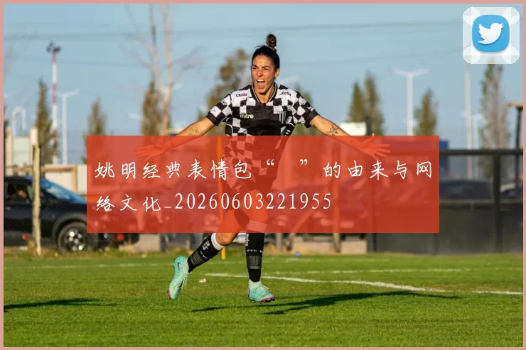 姚明经典表情包“囧”的由来与网络文化_20260603221955