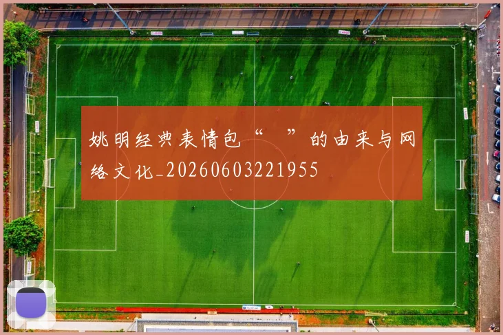 姚明经典表情包“囧”的由来与网络文化_20260603221955