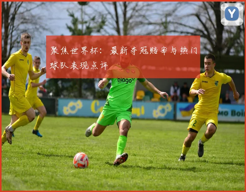 聚焦世界杯：最新夺冠赔率与热门球队表现点评